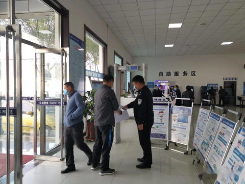 标租通北京车牌代办全流程解析：老司机教你避开这7大坑